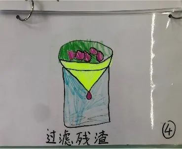 课程故事 | 香水花园——夏悦班（中班）-幼师课件网第64张图片