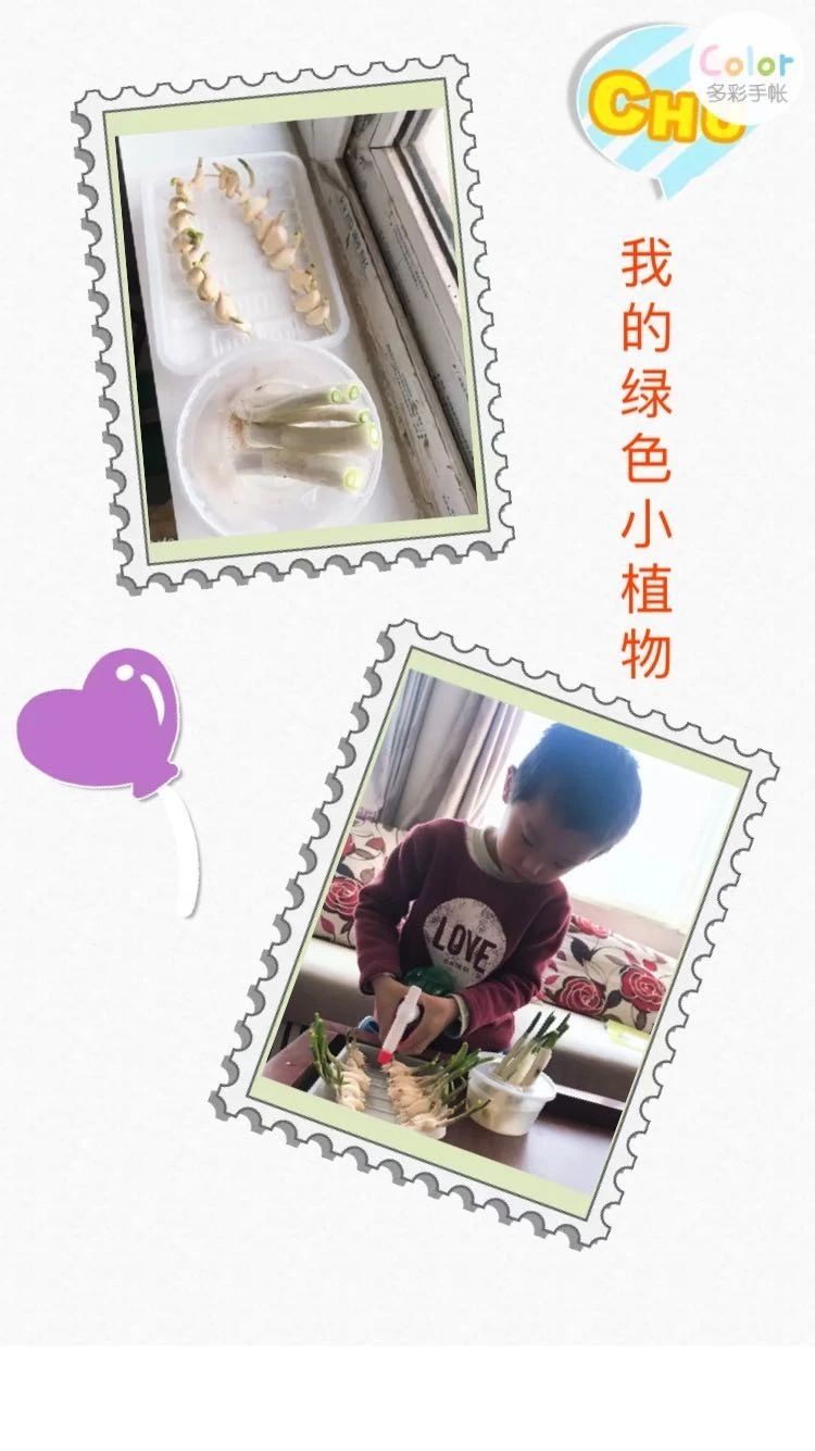 春分送暖,昼夜平分——西红门双语幼儿园分园(五十一)-幼师课件网第13张图片