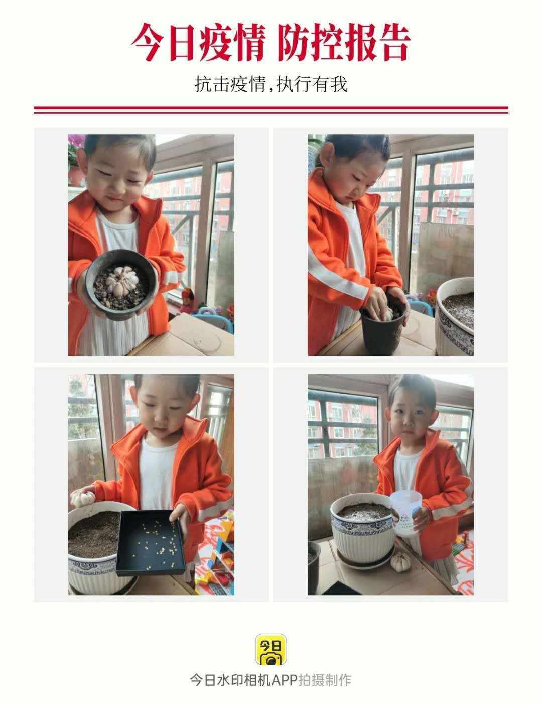 春分送暖,昼夜平分——西红门双语幼儿园分园(五十一)-幼师课件网第16张图片