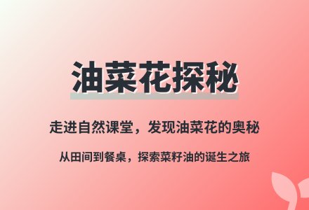 大班语言我爱家乡的油菜花教案反思-幼师课件网