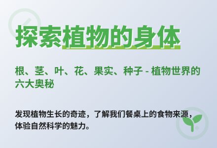 大班科学活动植物的身体教案反思-幼师课件网