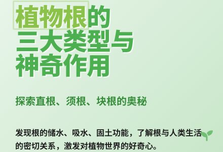 大班科学活动土壤的好朋友教案反思根-幼师课件网
