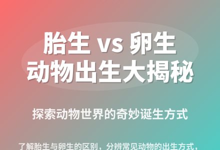 大班科学我们是怎样出生的教案反思-幼师课件网