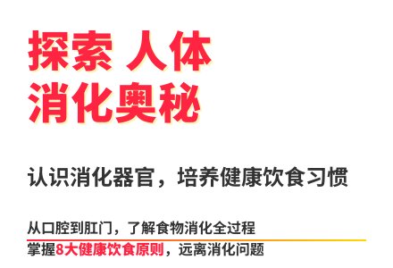 大班科学活动牙齿旅行记教案反思-幼师课件网