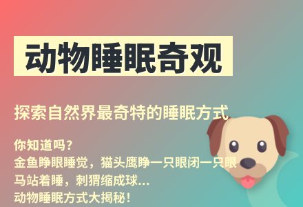 大班科学活动动物怎样睡觉教案反思-幼师课件网