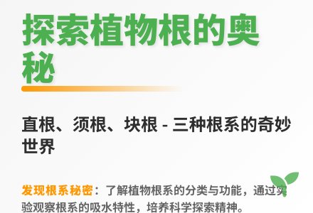 大班科学公开课纸的秘密教案反思-幼师课件网