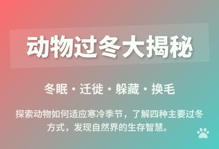 大班科学动物怎样过冬教案反思-幼师课件网