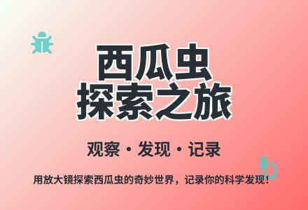 大班科学公开课西瓜虫教案反思-幼师课件网