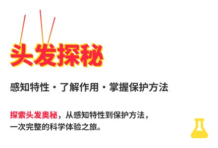 大班科学公开课不一样的头发教案反思-幼师课件网