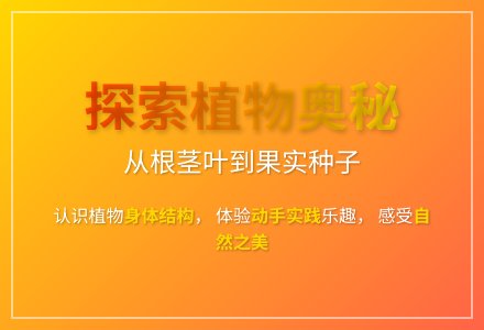 大班科学公开课植物的身体教案反思-幼师课件网