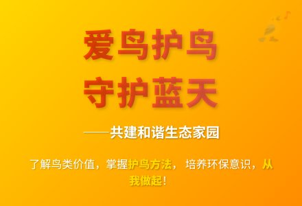 大班科学鸟类大罢工教案反思-幼师课件网