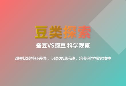 大班科学活动蚕豆和豌豆教案反思-幼师课件网