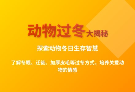 大班科学四大发明教案反思-幼师课件网