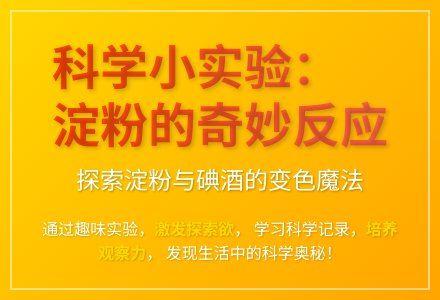 大班科学好玩的淀粉教案反思-幼师课件网
