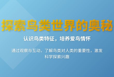 大班科学活动认识鸟教案反思-幼师课件网