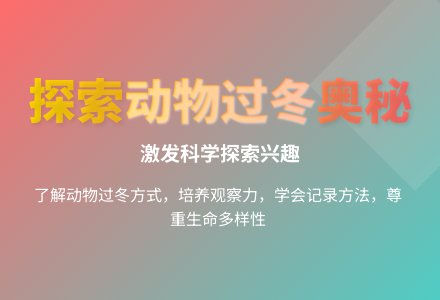 大班科学公开课动物过冬教案反思-幼师课件网