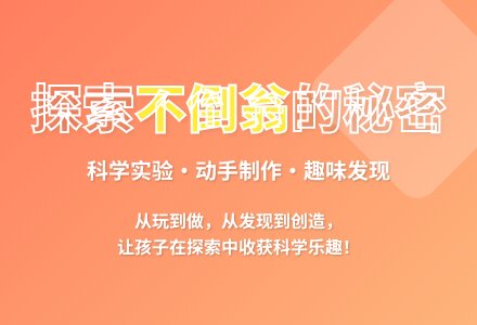 大班科学不倒翁教案反思-幼师课件网