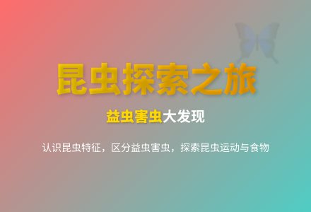 大班科学昆虫找家教案反思-幼师课件网