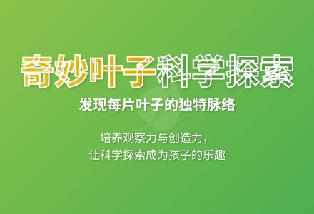 大班科学各种各样的叶子教案反思-幼师课件网