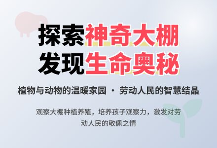 大班社会活动神奇的大棚教案反思-幼师课件网