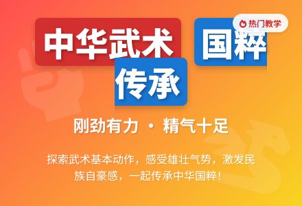 大班社会综合活动中华武术教案反思-幼师课件网