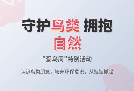 大班社会活动爱鸟周教案反思-幼师课件网