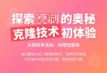 大班主题孙悟空超市教案反思-幼师课件网