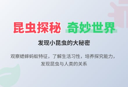 大班主题有趣的昆虫教案反思-幼师课件网