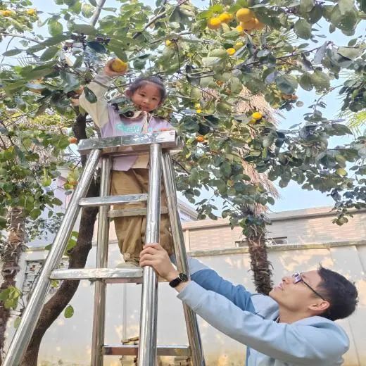 春华秋实，引导儿童探索自然和生活-幼师课件网第4张图片