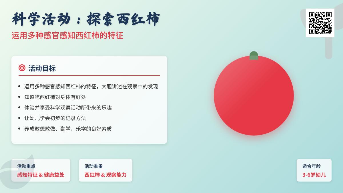 中班主题种植西红柿教案反思