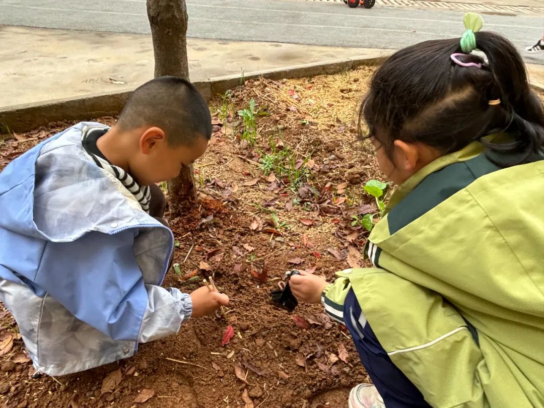 课程故事：嘿！小蚯蚓-幼师课件网第50张图片