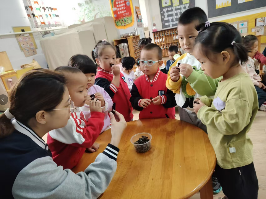 【课程故事】从幼儿园小班“卷”起来——记北京市昌平区幼师第五实验幼儿园主题探究活动《食物真好吃》-幼师课件网第24张图片