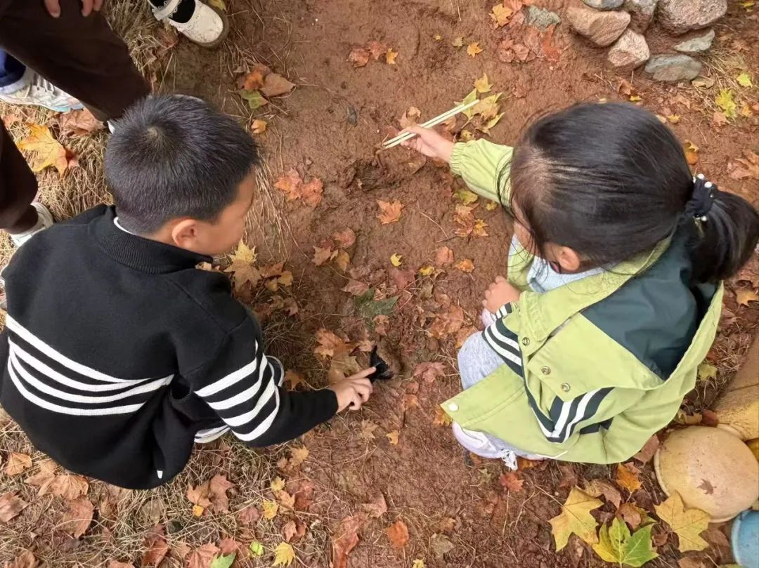 课程故事：嘿！小蚯蚓-幼师课件网第52张图片