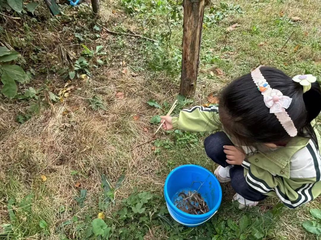 课程故事：嘿！小蚯蚓-幼师课件网第81张图片