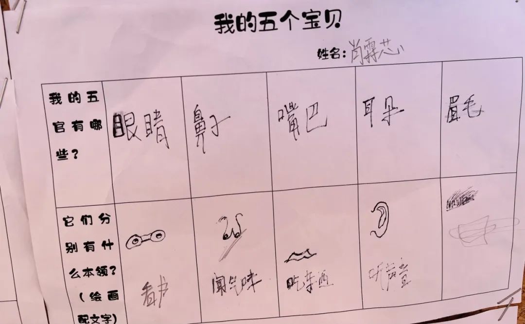 嗨，我的“五官”朋友——翁源县第三幼儿园小班课程故事-幼师课件网第13张图片