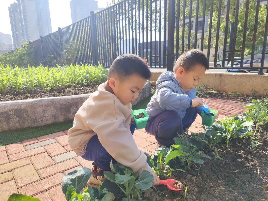 课程故事 | 你好 春天-幼师课件网第103张图片