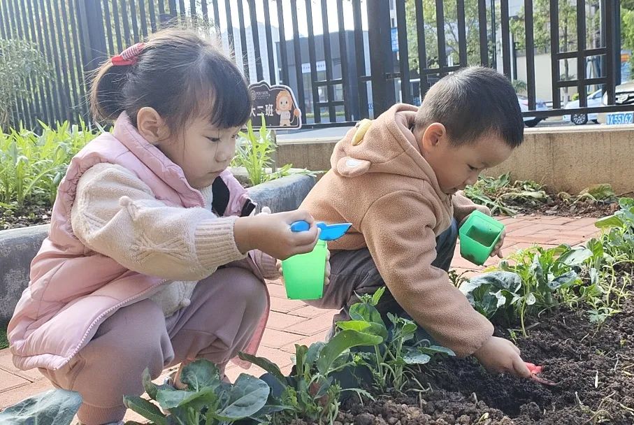 课程故事 | 你好 春天-幼师课件网第102张图片