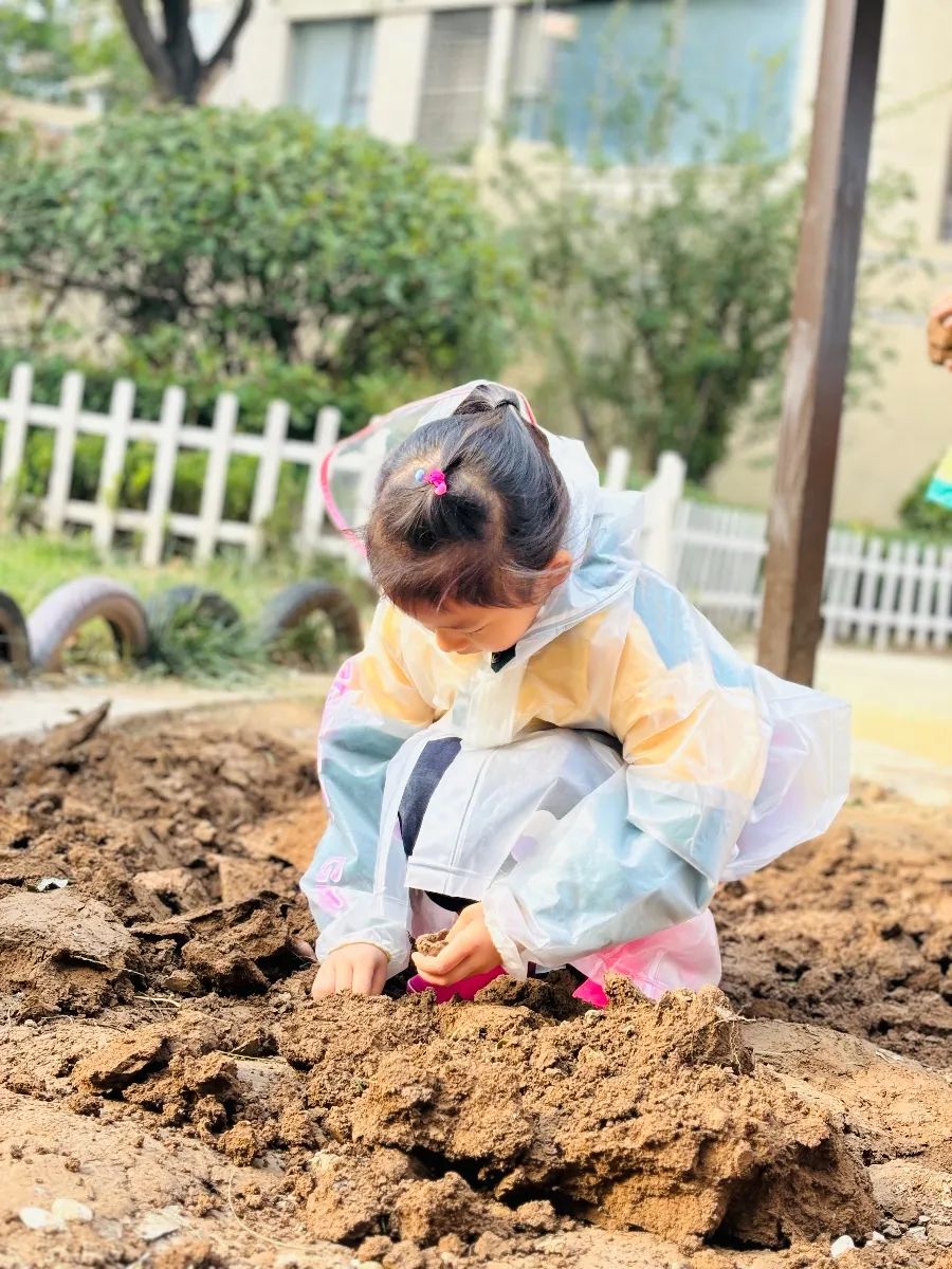 【课程故事】嘿！“泥塑”朋友-幼师课件网第17张图片