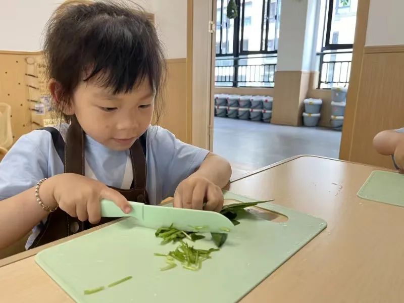 课程故事 | 你好 春天-幼师课件网第71张图片