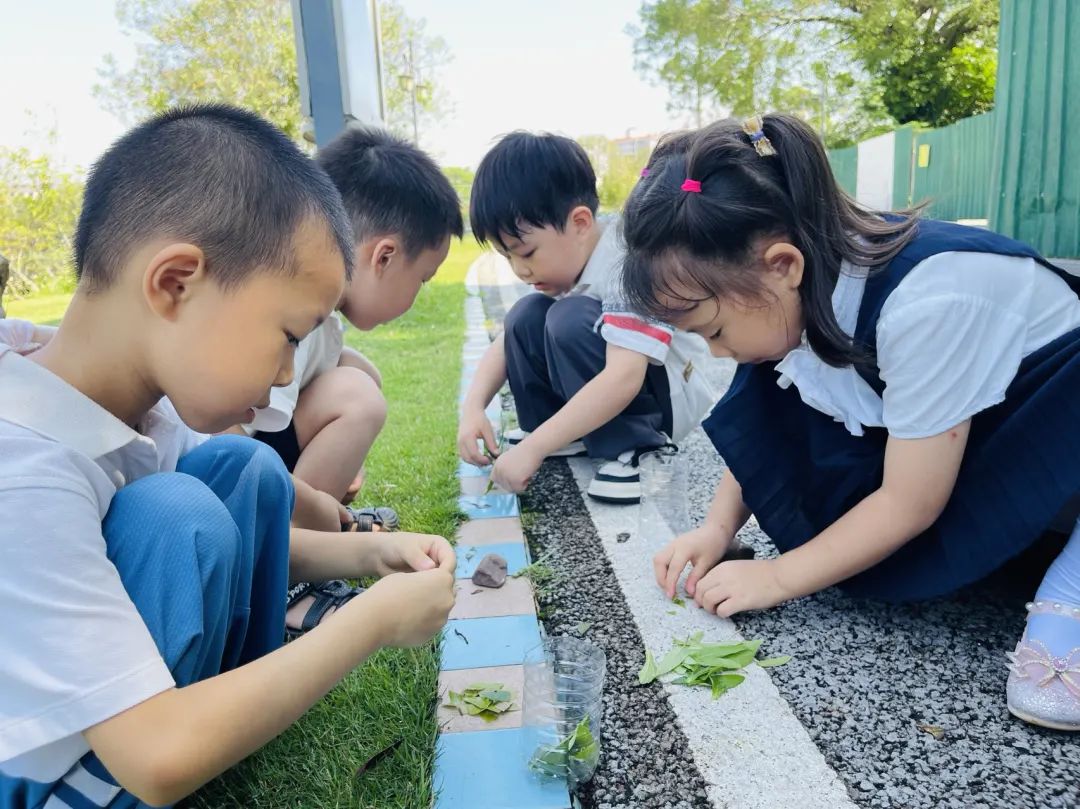 课程故事 | 你好 夏天-幼师课件网第60张图片