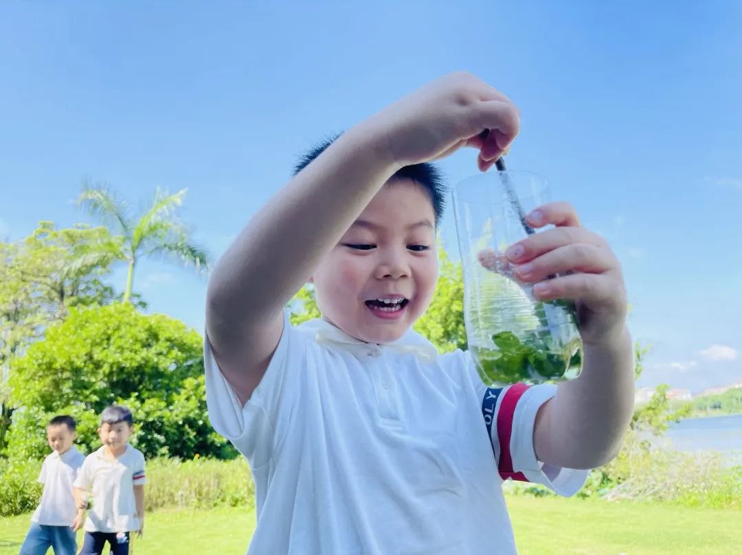 课程故事 | 你好 夏天-幼师课件网第61张图片