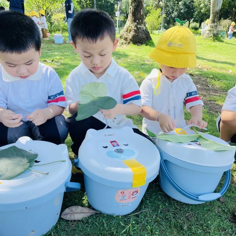 课程故事 | 你好 夏天-幼师课件网第31张图片