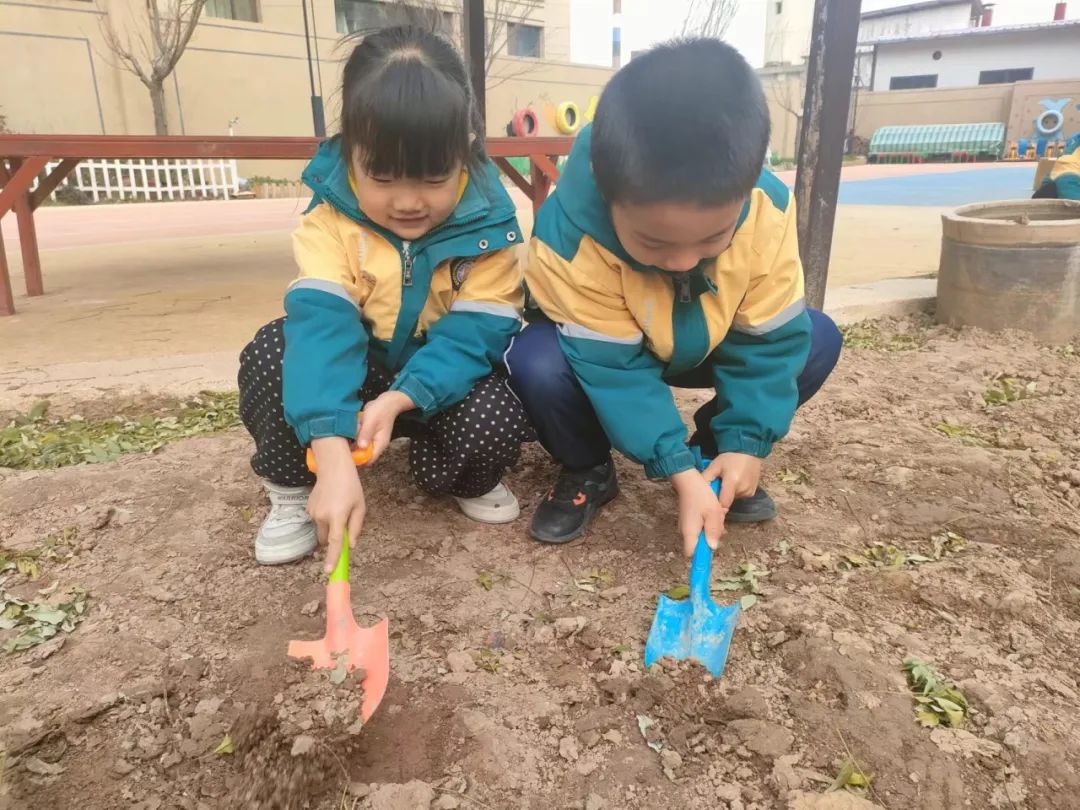 【班本课程】泥巴的秘密-幼师课件网第47张图片