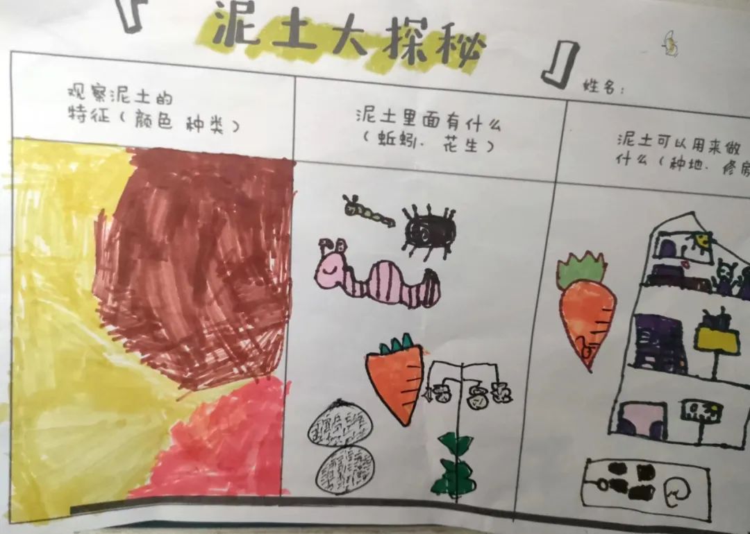 【班本课程】泥巴的秘密-幼师课件网第13张图片