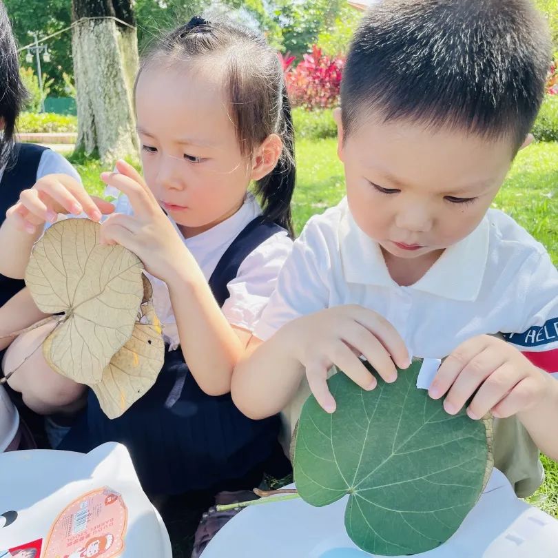 课程故事 | 你好 夏天-幼师课件网第30张图片