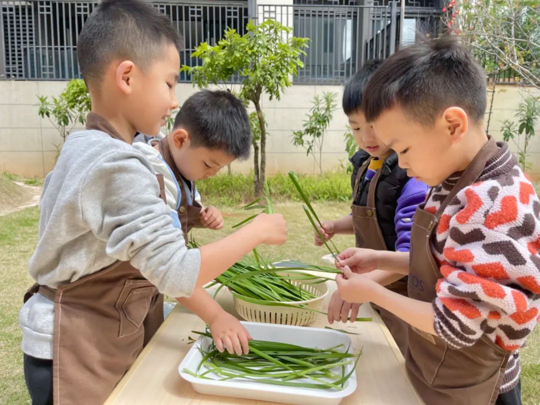 课程故事 | 你好 春天-幼师课件网第84张图片