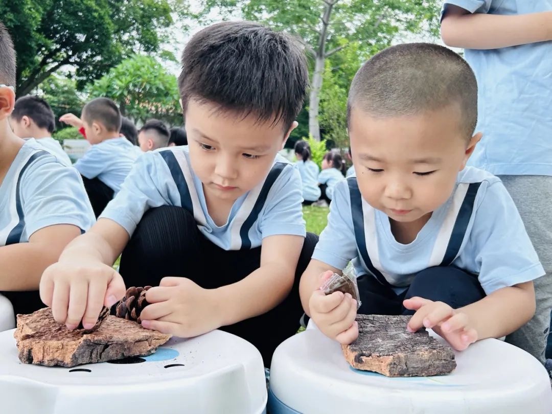 课程故事 | 你好 夏天-幼师课件网第53张图片