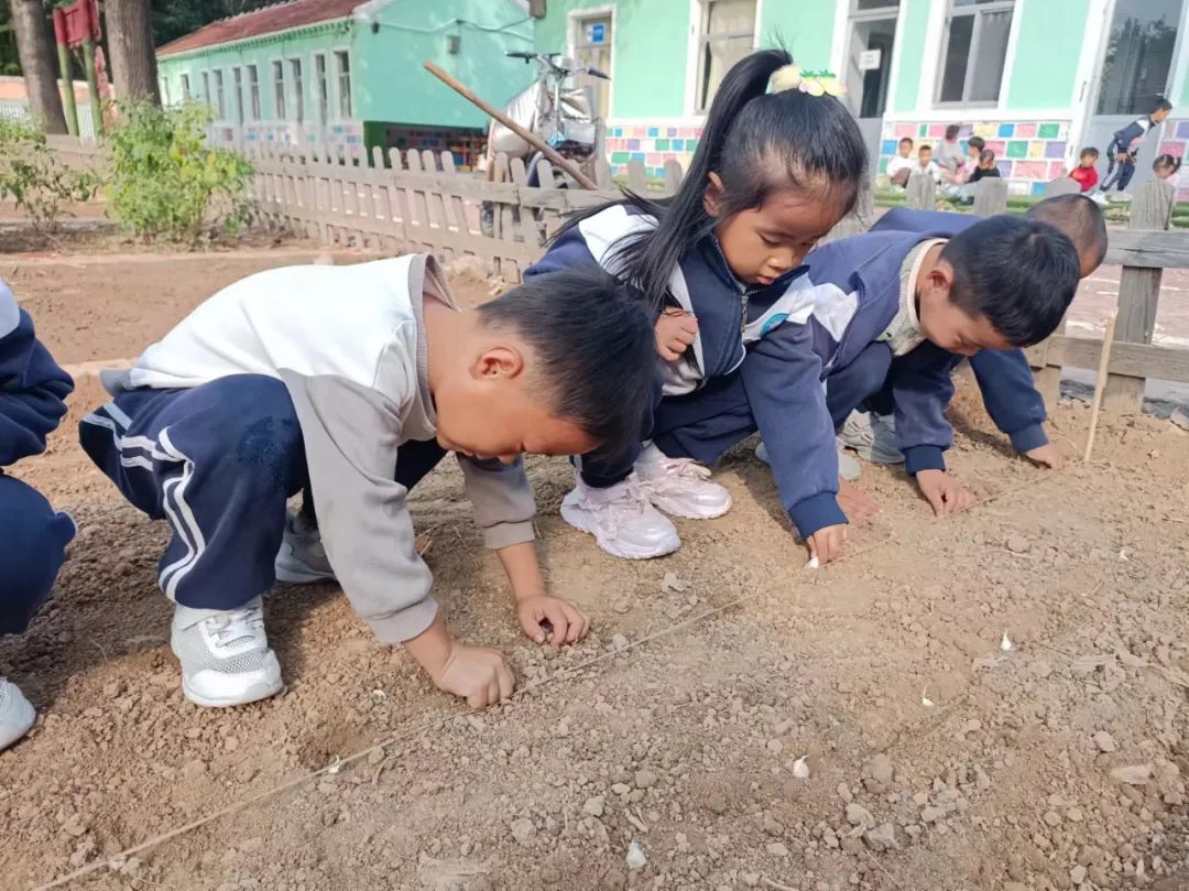 【自主课程—生命生长课程】“蒜”你可爱——城幼（李家园区）小中班幼儿课程故事-幼师课件网第120张图片