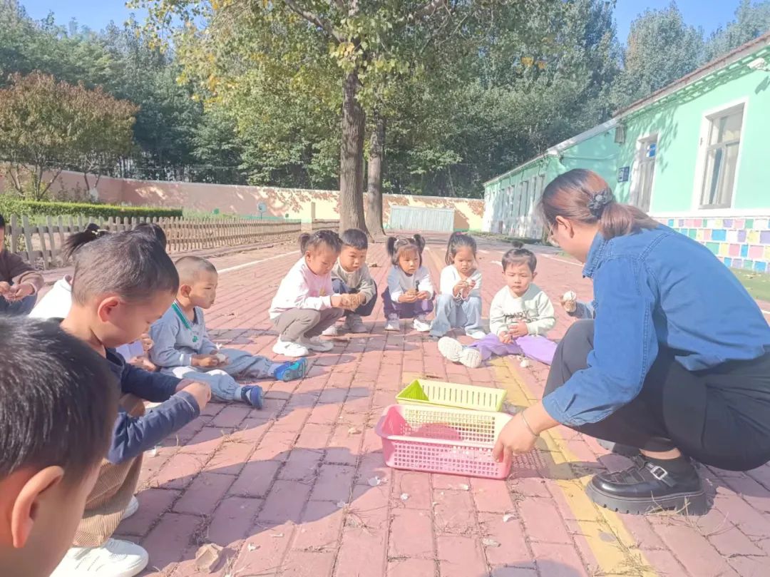 【自主课程—生命生长课程】“蒜”你可爱——城幼（李家园区）小中班幼儿课程故事-幼师课件网第133张图片