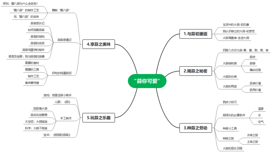 【自主课程—生命生长课程】“蒜”你可爱——城幼（李家园区）小中班幼儿课程故事-幼师课件网第9张图片